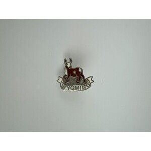 Wyoming State Enamel Pin Horse Travel Western Brooch Hat Cap Lapel Cloisonne